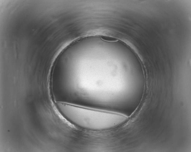 X0000062690949200512211129