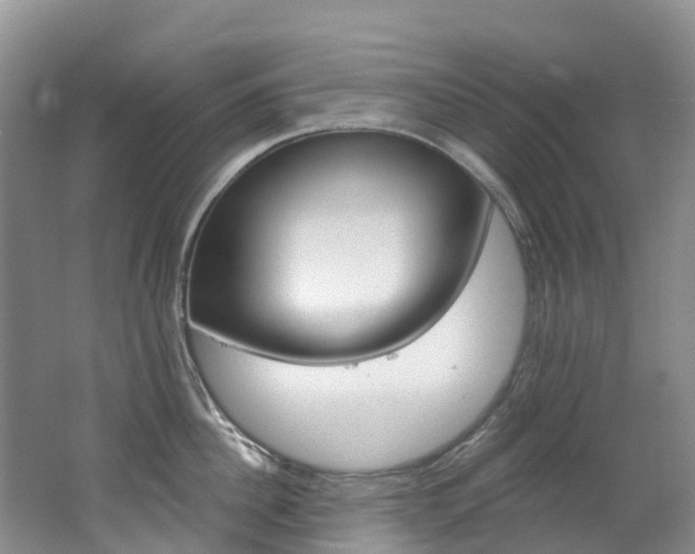 X0000062690956200512211129