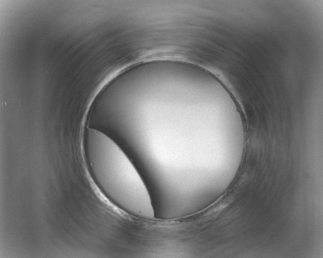 X0000062690957200512211129
