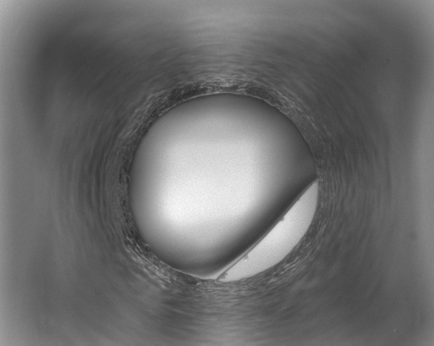X0000062690961200512211128