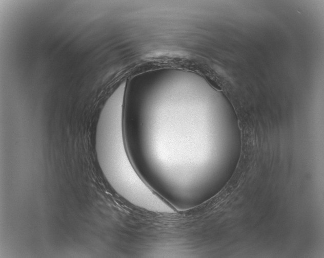 X0000062690965200512211128
