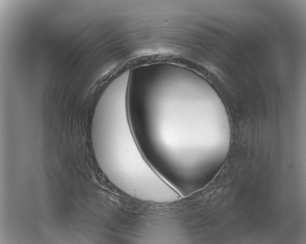 X0000062690967200512211128