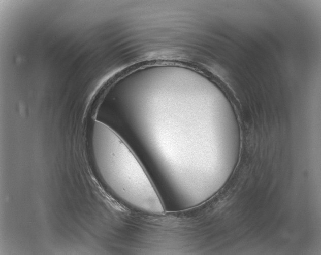 X0000062690971200512211128