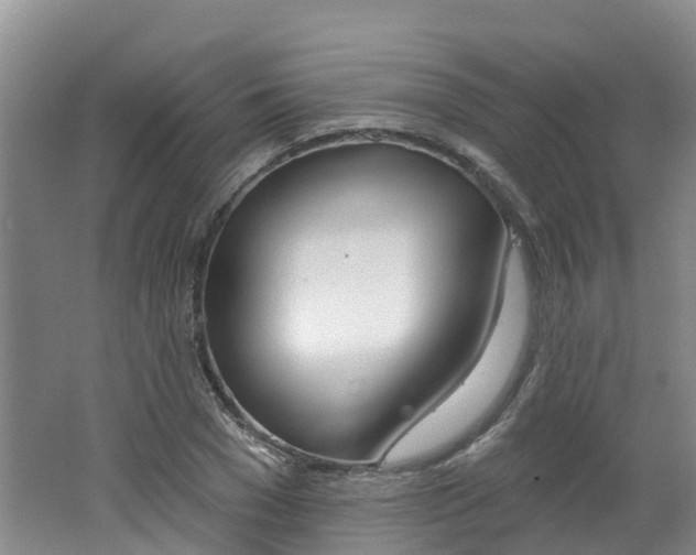 X0000062690977200512211128