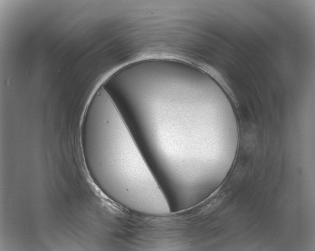 X0000062691004200512211127