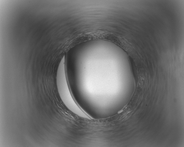 X0000062691010200512211126