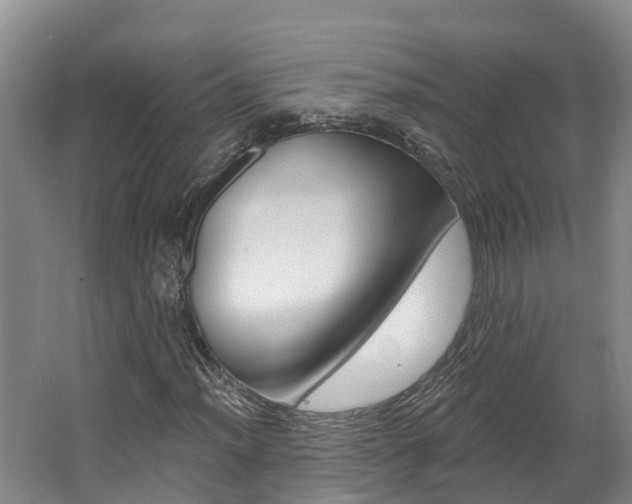 X0000062691012200512211126
