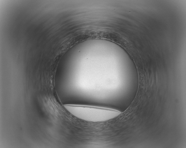 X0000062691013200512211126