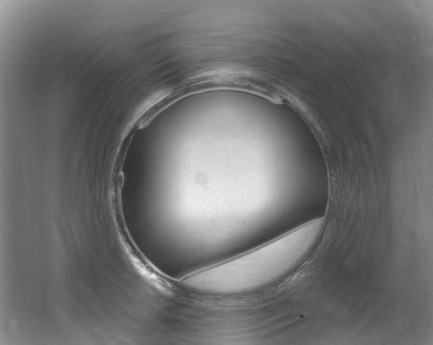 X0000062691042200512211127