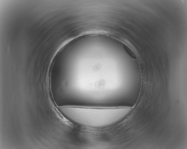 X0000062691044200512211127