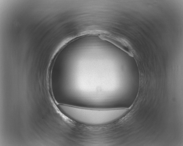 X0000062691046200512211127