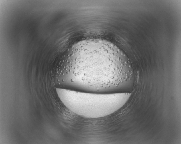 X0000062691059200512211126