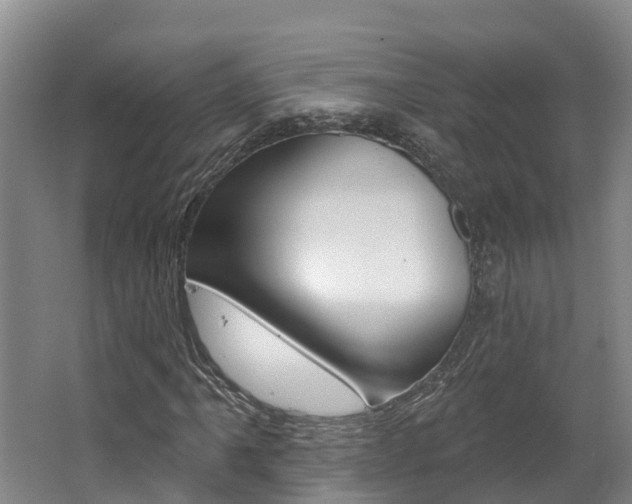 X0000062691061200512211126