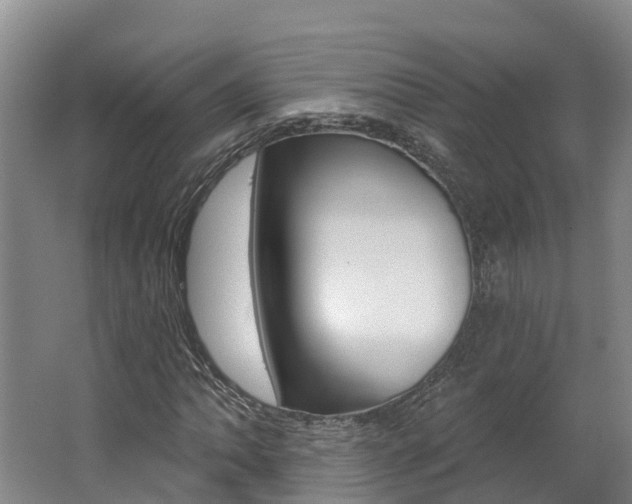 X0000062691062200512211126