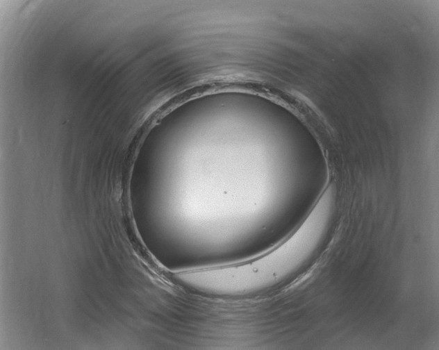 X0000062691065200512211126