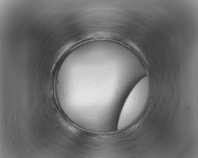 X0000062691075200512211126