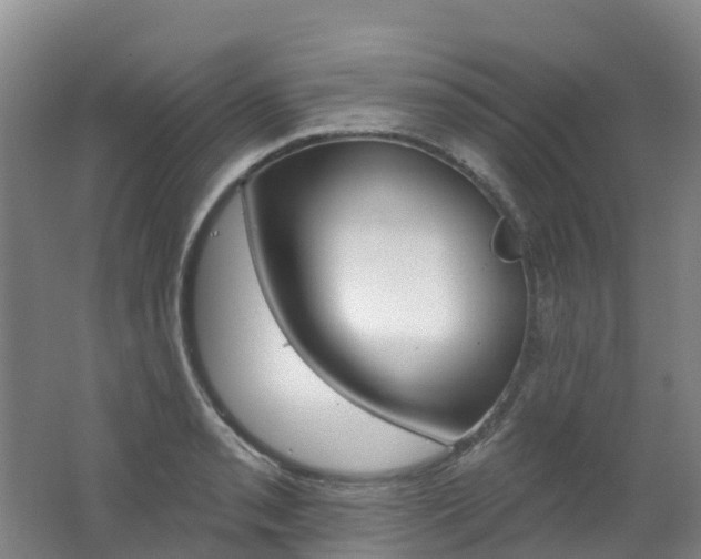 X0000062691085200512211126