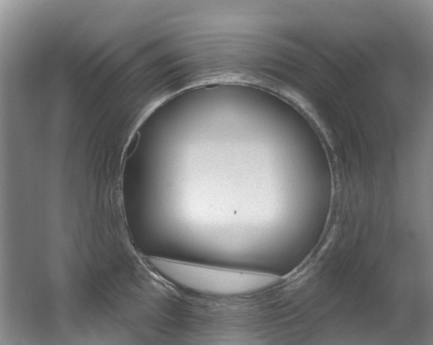X0000062691097200512211126