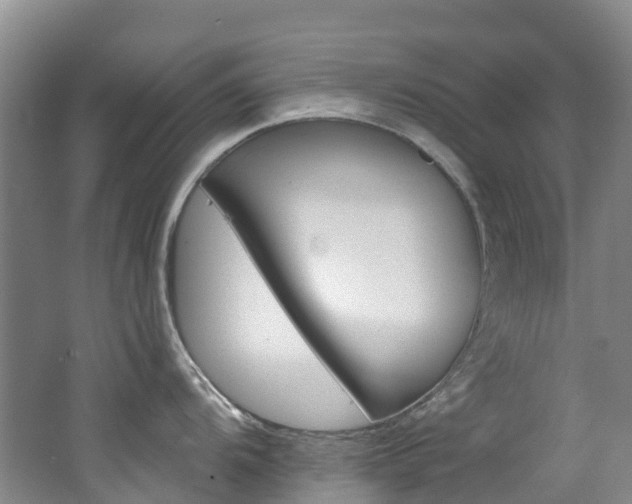 X0000062691104200512211125