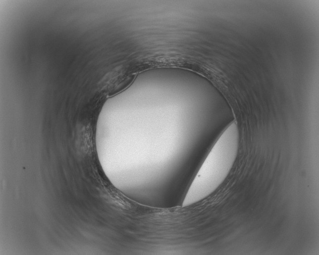 X0000062691107200512211125