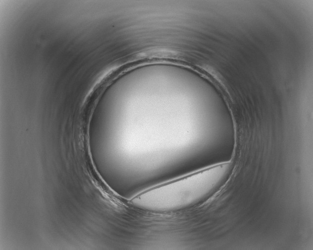 X0000062691115200512211125