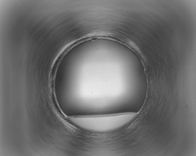 X0000062691124200512211125