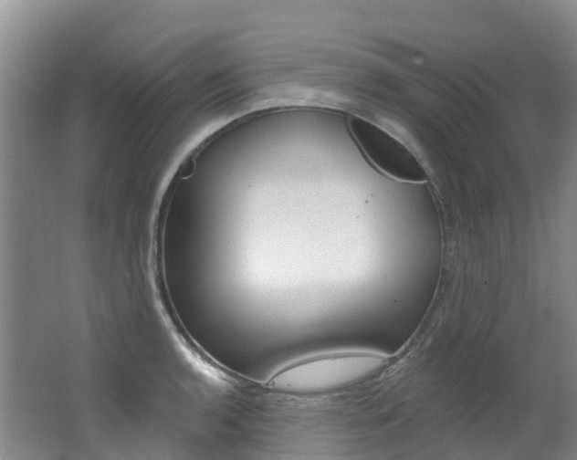 X0000062691136200512211125