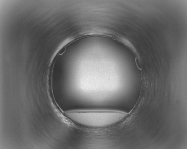 X0000062691138200512211125