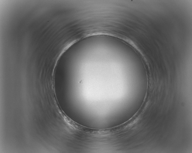 X0000062691145200512211125