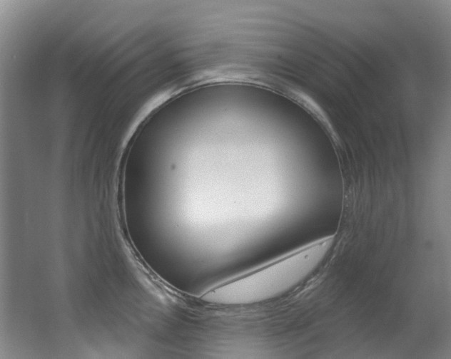 X0000062691146200512211125