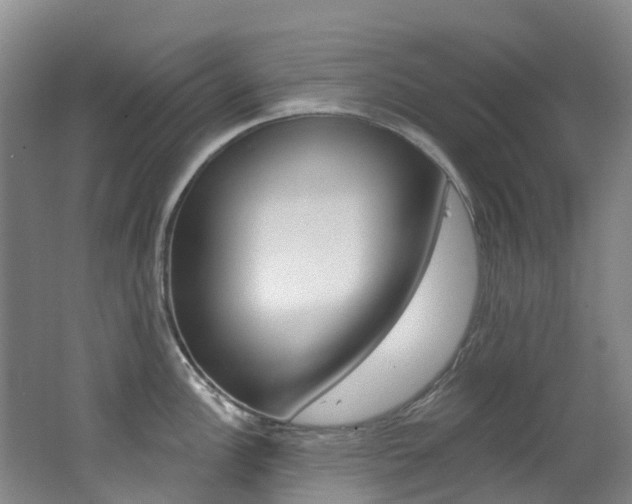 X0000062691148200512211125