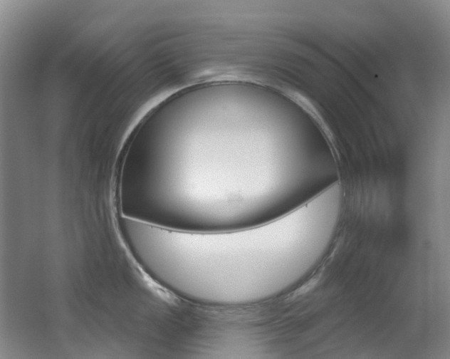 X0000062691149200512211125