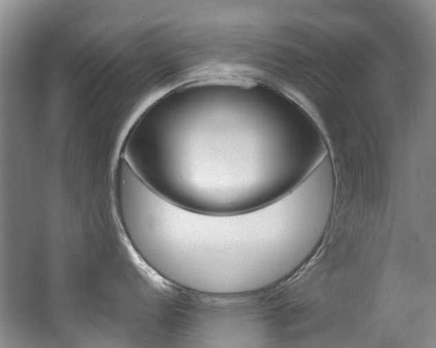 X0000062691152200512211125