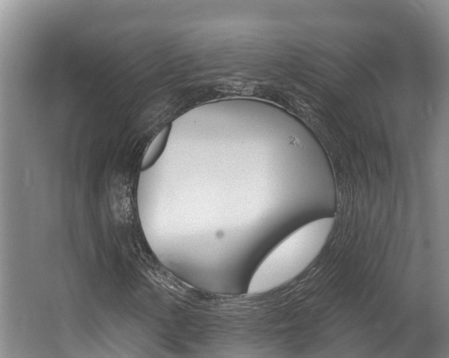 X0000062691154200512211125