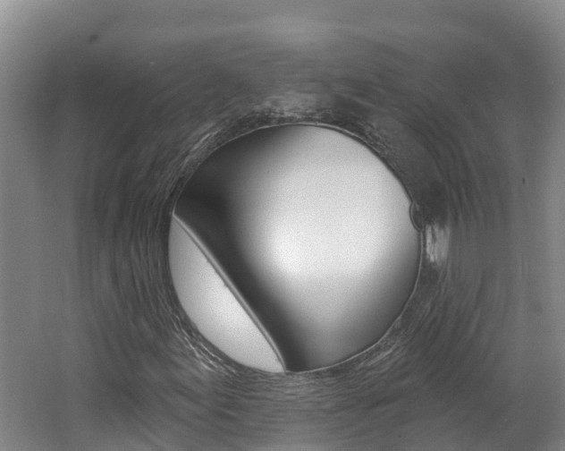 X0000062691155200512211125