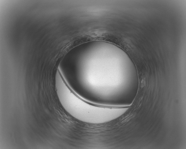X0000062691156200512211125