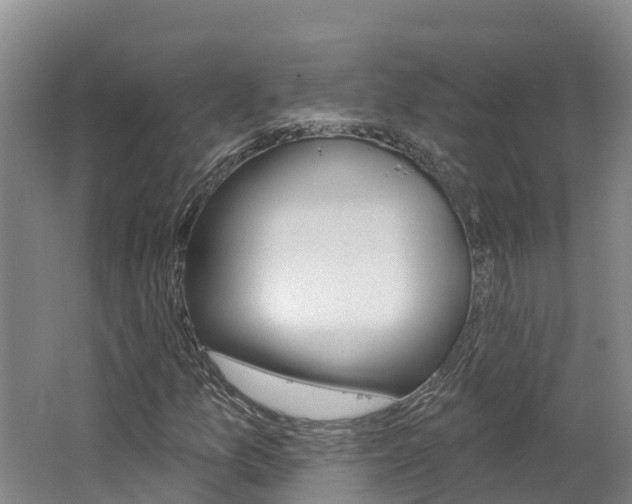 X0000062691157200512211125