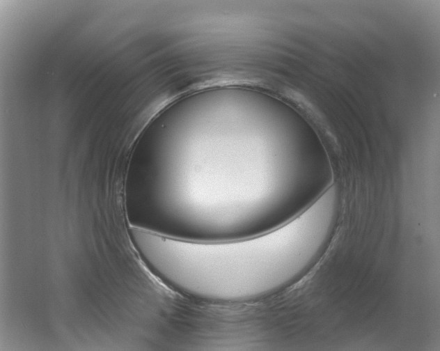 X0000062691185200512211124