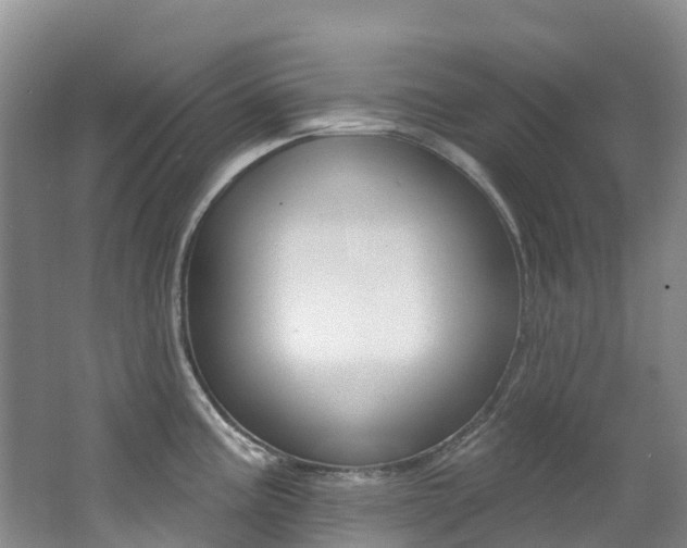 X0000062691195200512211124