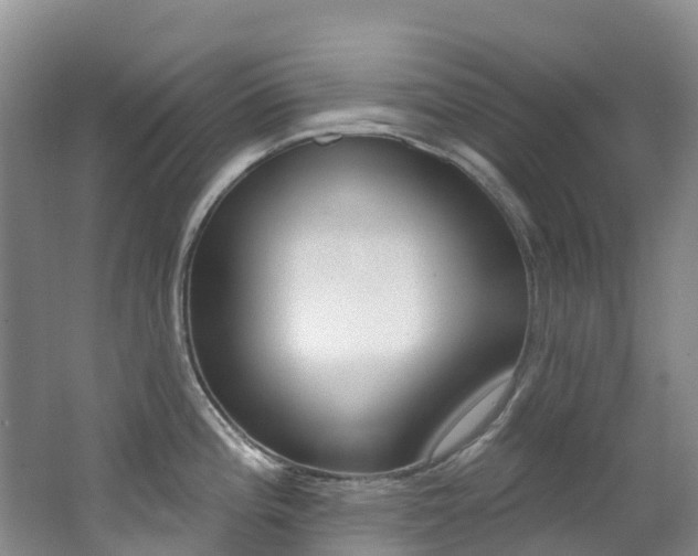 X0000062691196200512211124