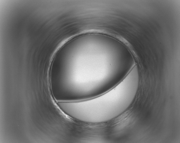 X0000062691199200512211124