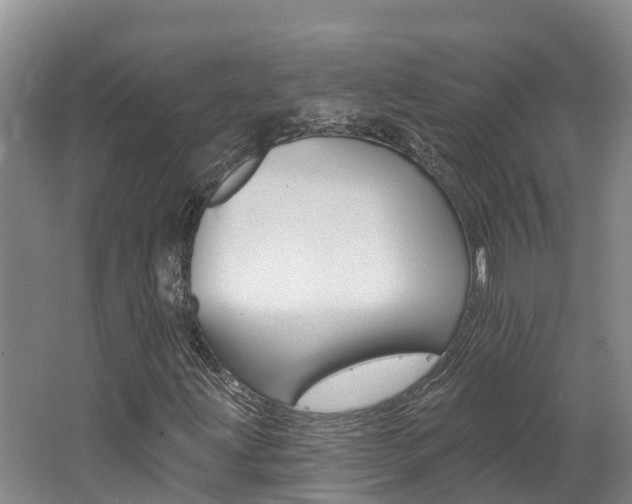 X0000062691203200512211123