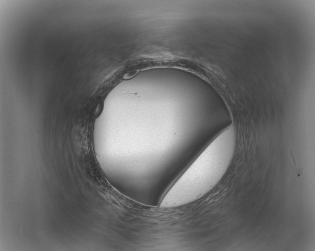 X0000062691205200512211123