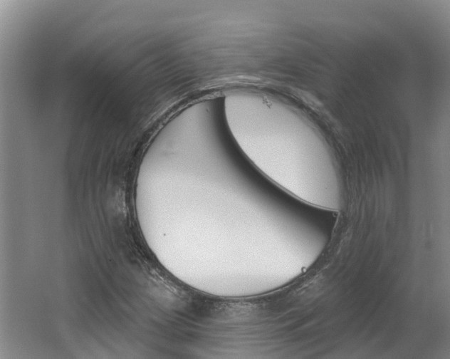 X0000062691209200512211123