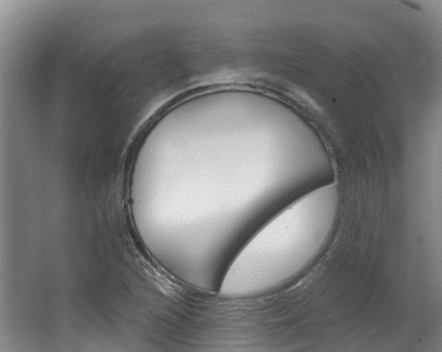 X0000062691216200512211123