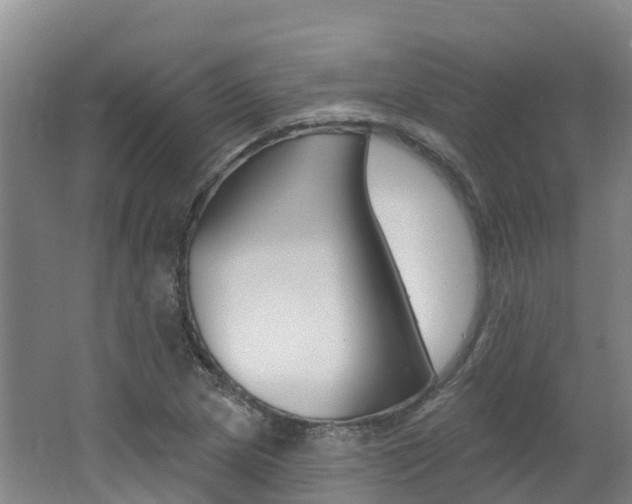 X0000062691217200512211123