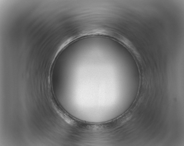 X0000062691234200512211124