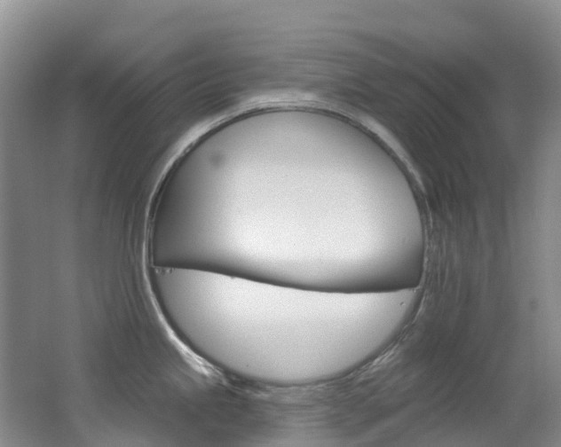 X0000062691245200512211124