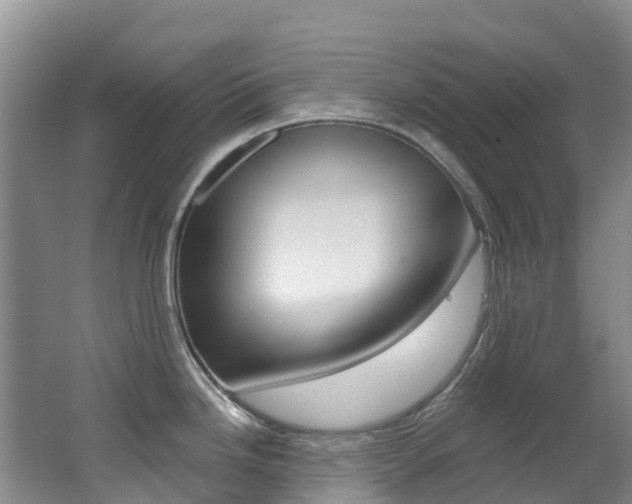 X0000062691246200512211124