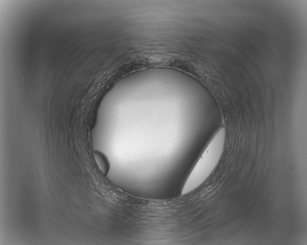 X0000062691249200512211123